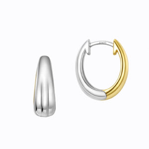 Silver and Gold Mini Hoop Earrings